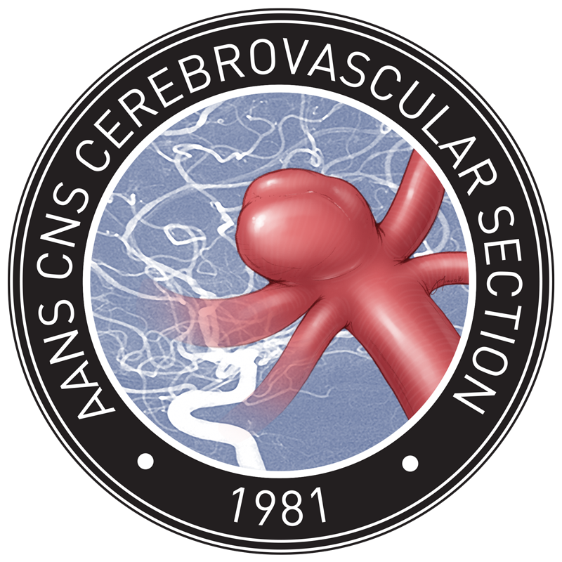 AANS/CNS Cerebrovascular Section