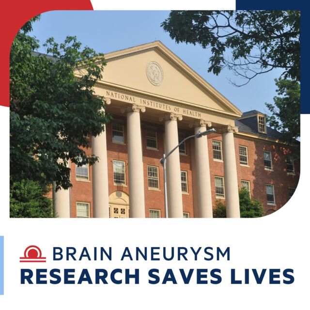 The BAF would like to thank WalterKoroshetz and the team National Institute of Neurological Disorders and Stroke (NINDS) for meeting on the @nihgov campus to discuss brain aneurysm research funding. Big thanks to Scott Janis, Jim Koenig, Nick Langhals and Rebekah Corlew #ResearchSavesLives
